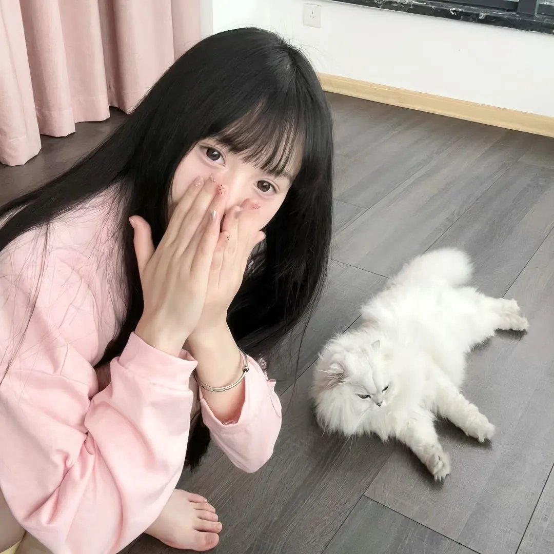 家庭入侵
